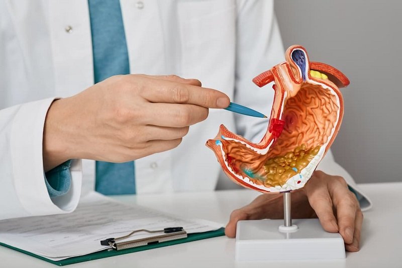 Gastroentrology