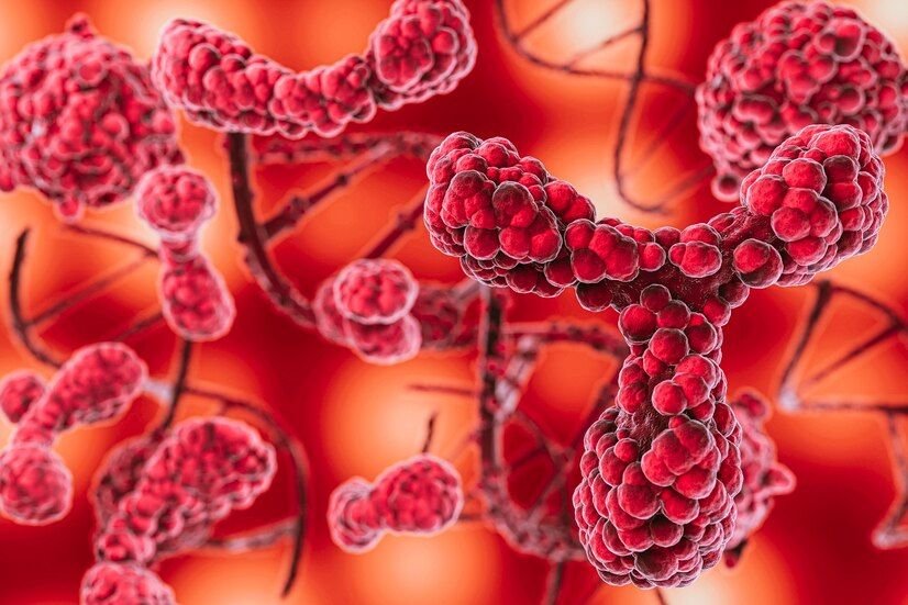 Blood Cancer Treatment In rewa