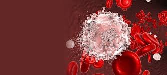 Blood Cancer treatment In Harda
