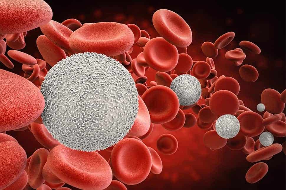 Blood Cancer treatment In Sagar