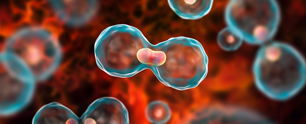 Cancer Doctor In Sagar